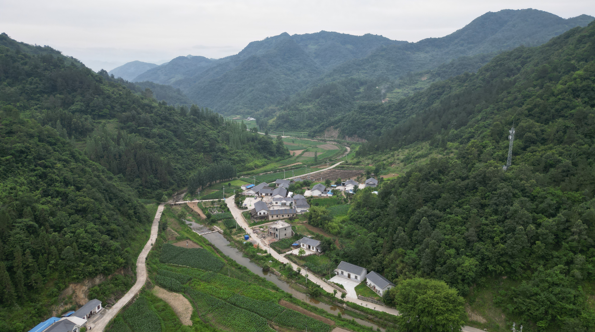 《党旗飘飘》詹运成：用初心和使命书写一名老党员的为民情怀