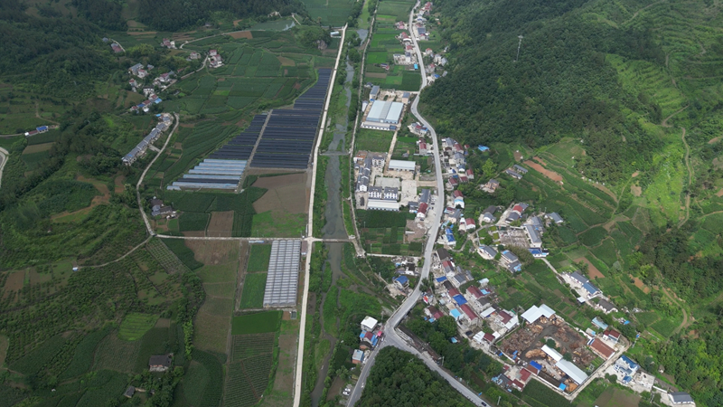 《党旗飘飘》饶飞：躬耕基层沃土 全心服务群众