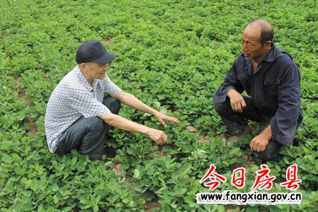 大山深处的深情守望