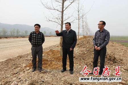 确保4月10日完成县城至军店一级路绿化工程任务