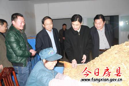 钟芝清来我县调研人才工作