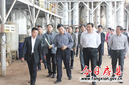 省经信委领导来我县调研工业经济发展情况