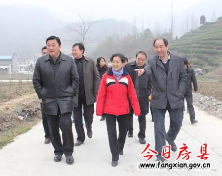 国家水利部工作组来我县调研慰问