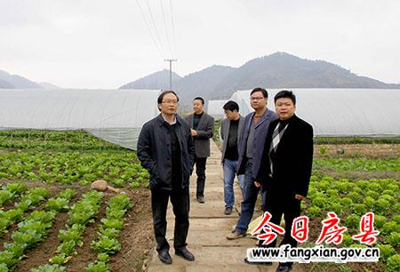 发挥城郊区位优势  大力发展特色产业