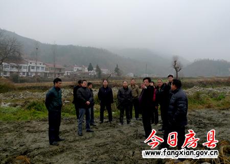 庄房村的“喜事儿”多