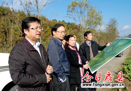 蔡贤忠调研窑淮镇产业发展和项目建设