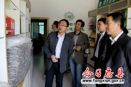 朱光洪调研食用菌产业发展情况