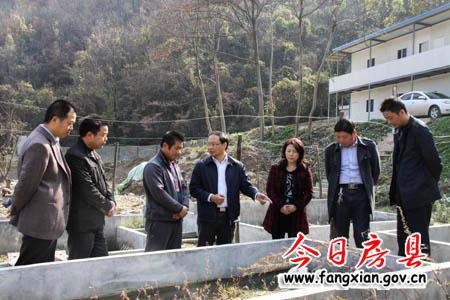 释放资源潜能 做大做强特色产业