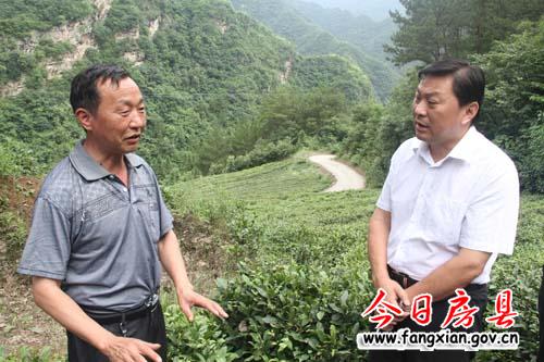 沈明云到姚坪乡调研产业发展　基础设施建设情况