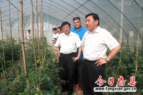 对接大市场培强大产业  建成十堰城区商品菜生产基地