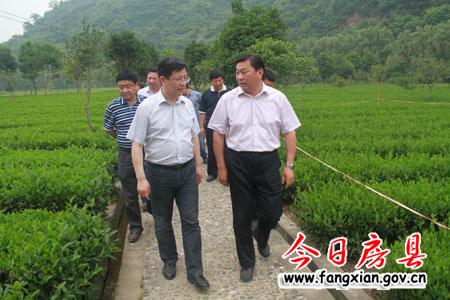 拓展园区发展平台 推动房县工业经济跨越发展