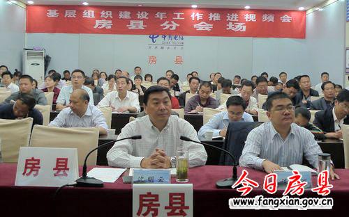 大力推进基层组织建设年各项工作
