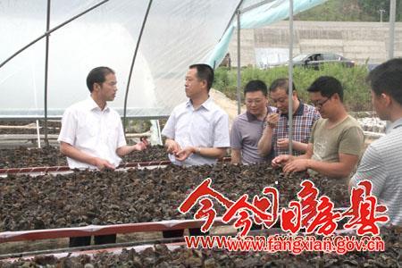 放大资源优势  做强富民产业  加快经济发展