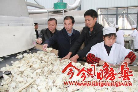 柯大成调研我县部分重点工业企业