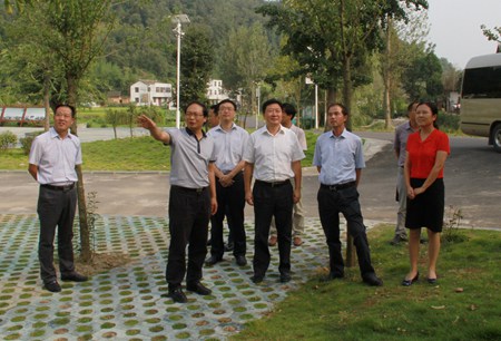 周霁来我县调研经济社会发展情况