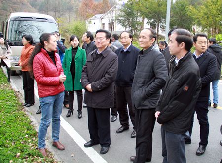 省政协主席杨松来我县调研经济社会发展情况