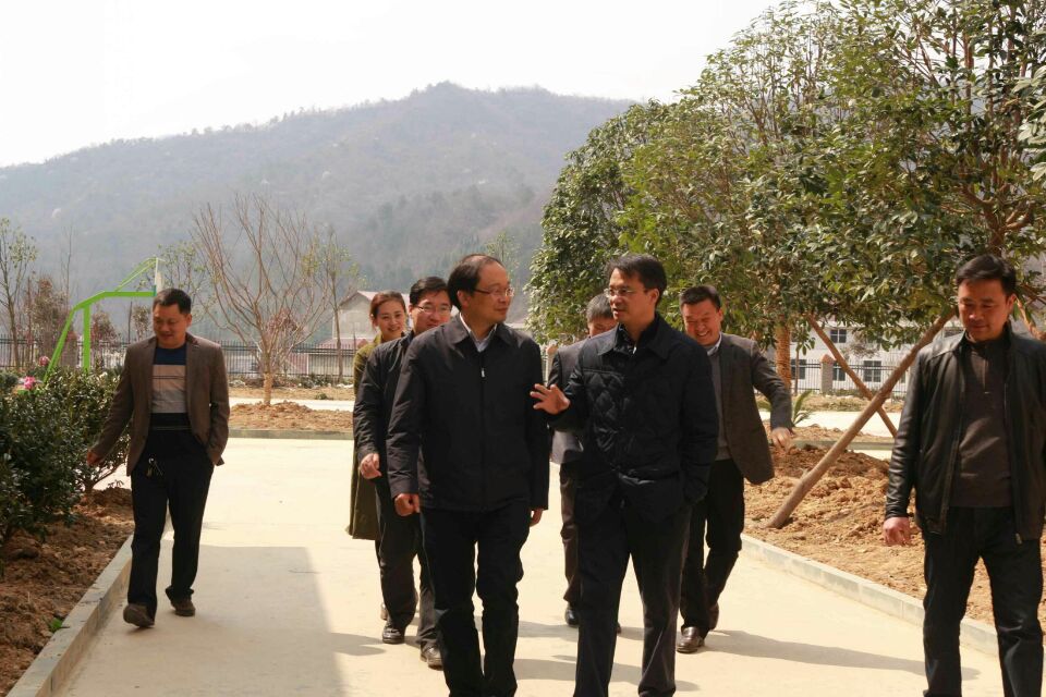 强化责任 完善措施 推动文化产业更好服务县域经济发展