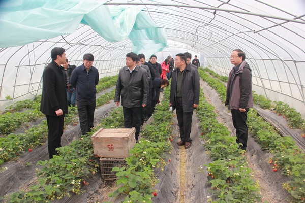 十堰市金融扶贫现场会在房县召开