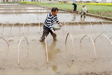 小水利助力春耕生产