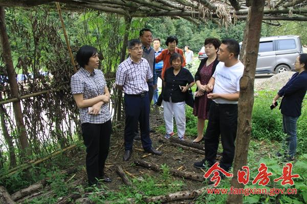 杨玉华一行在青峰镇峪坪河村调研
