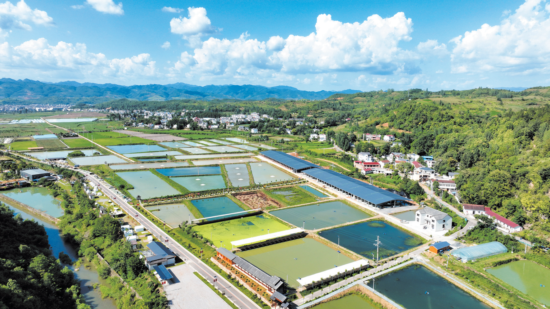 房县智慧养鱼 效益倍增