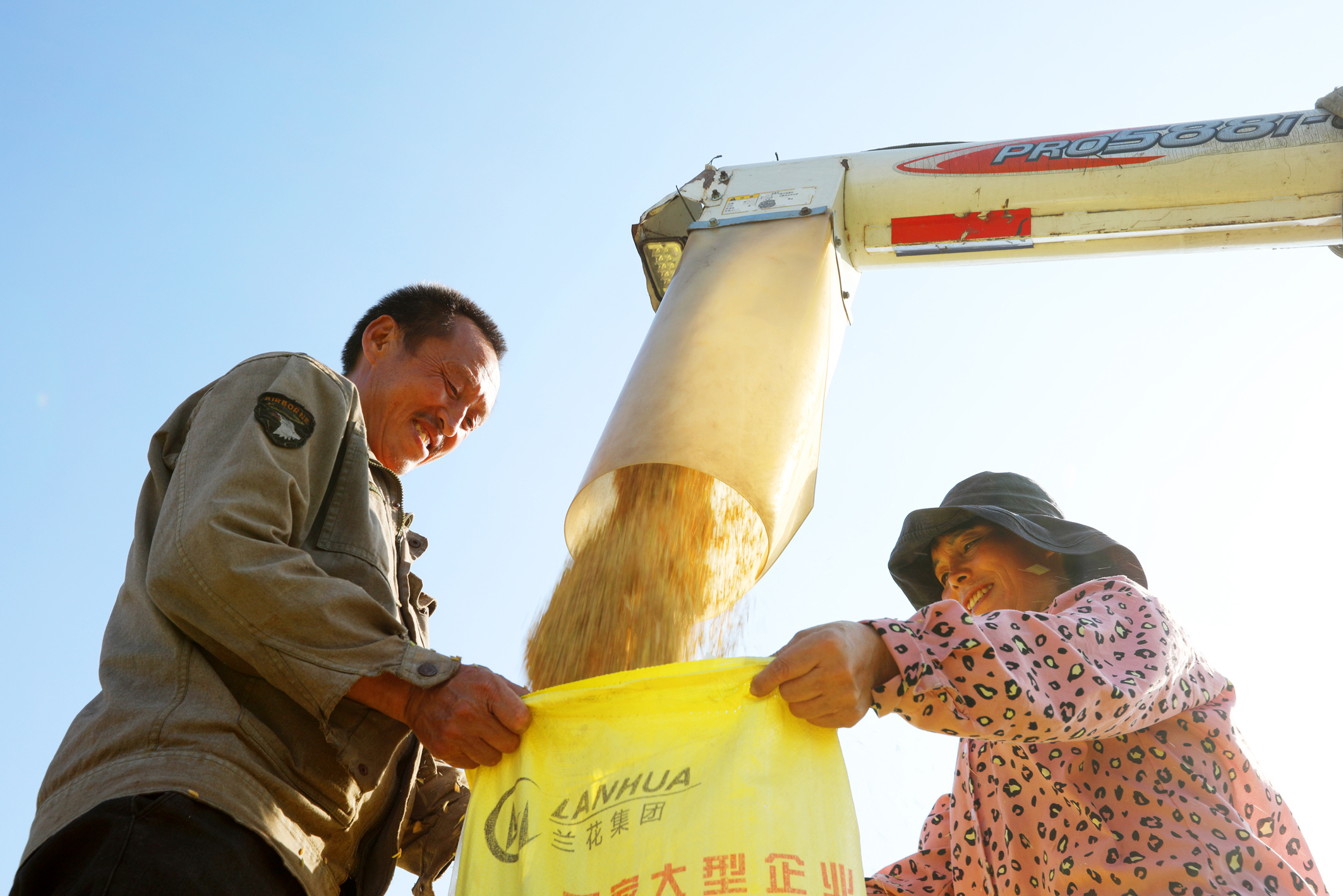 金色农田 水稻丰收