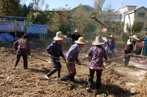 红塔镇：组织贫困户在家门口务工忙增收
