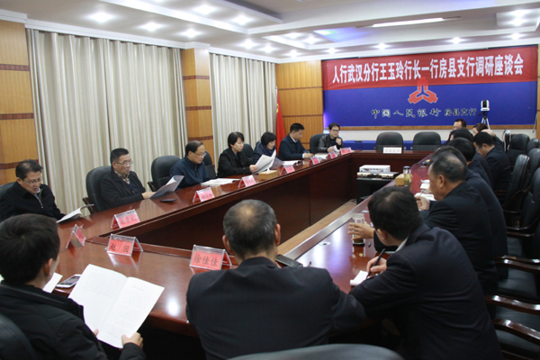 人行武汉分行行长王玉玲调研我县金融扶贫工作