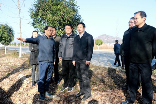 陈新武来房调研中央生态环保督察“回头看”整改工作