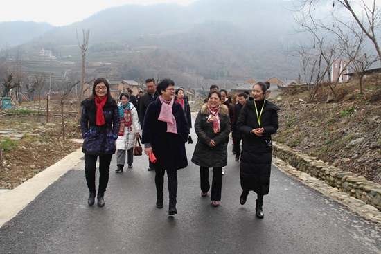 住房市政协委员开展专题调研视察活动