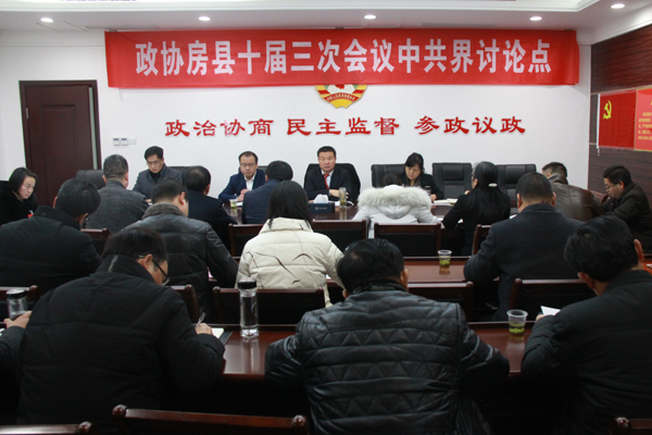 肖大有参加中共界别政协委员联组讨论