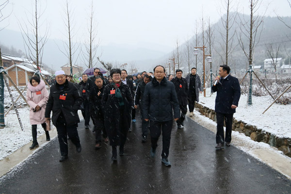 县人大代表、政协委员参观全县重点项目建设