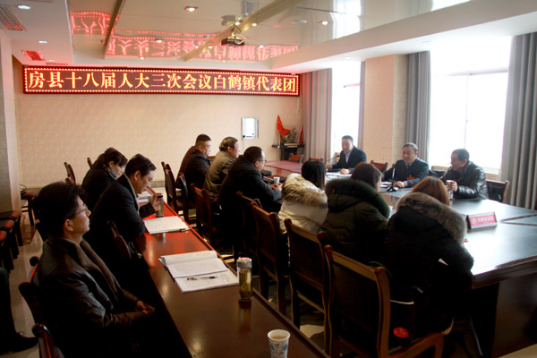 高明哲参加白鹤镇代表团审议讨论《政府工作报告》