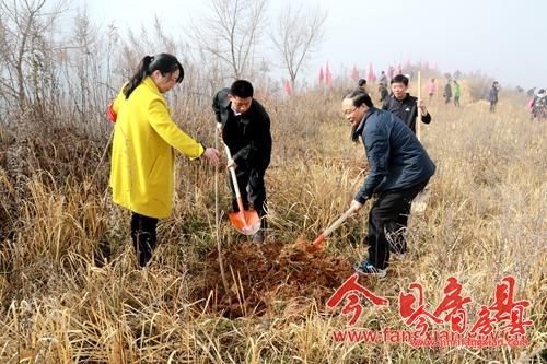 我县开展义务植树活动 掀起春季植树造林热潮