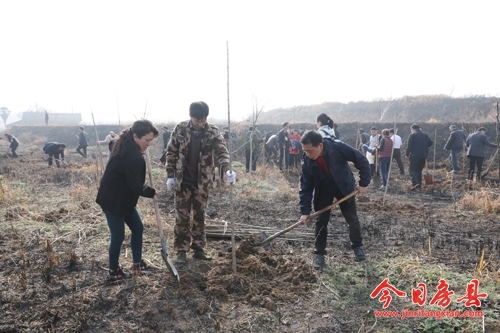 县政协委员开展义务植树活动