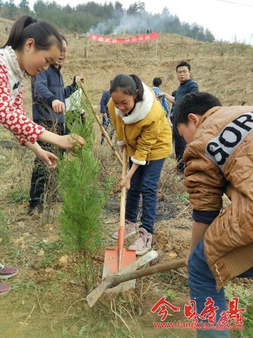 尹吉甫学校积极组织植树节义务植树活动
