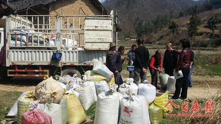 指北村胭脂米带动贫困户户均增收4000元