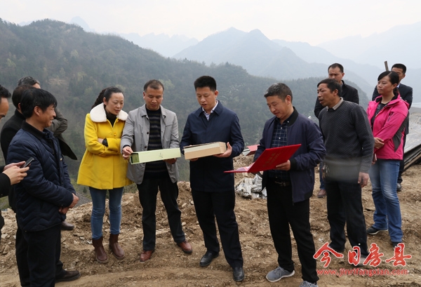 纪道清到姚坪乡调研经济社会发展情况