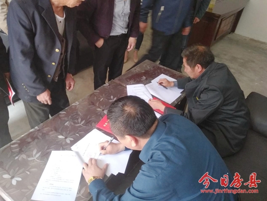 大木厂镇北坡茶场春茶开园采摘