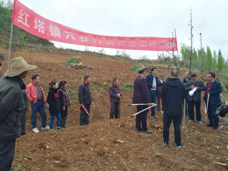 县史志办为驻点村产业发展提供技术服务