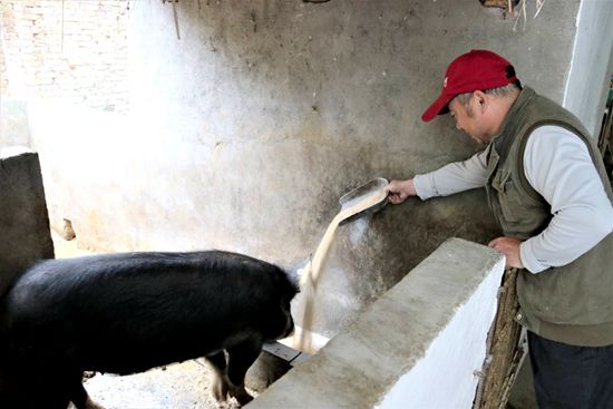 靠奋斗告别贫困