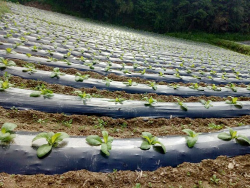 真心实意驻村帮扶 严谨实干帮出成效