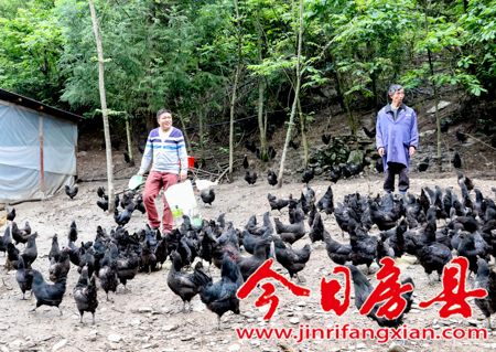 回访看变化：件件有着落 事事有成效