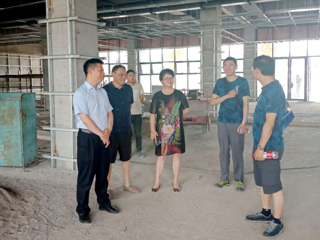 纪道清调研“四馆一家”项目