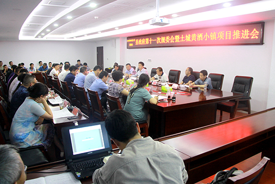 纪道清主持召开规委会第十一次会议