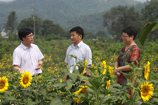 崔晓宏到化龙堰镇慰问老党员