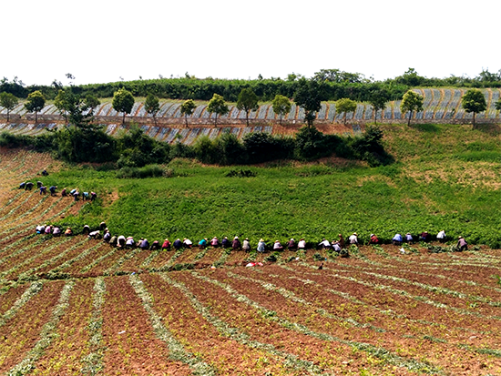 回龙乡就业创业扶贫成效好