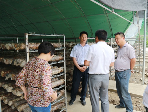 纪道清到沙河乡沙河店村现场办公