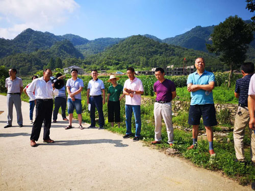 青峰镇组织开展精准扶贫拉练会