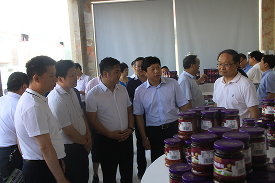 全市第二季度重点项目拉练与会人员来房观摩